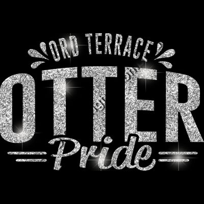 GLT62 SILVER GLITTER Thumbnail